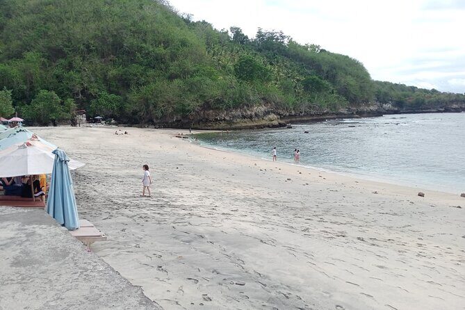 Best Seller West Nusa Penida Island Private Guided Tour - Stop 1: Kelingking Beach, the cliff view that sets the mood