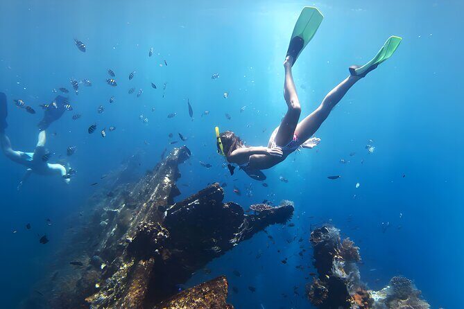 Best Snorkeling Activity in Blue Lagoon Beach Bali - What you’ll see on the reef: calm water, coral, and real fish variety