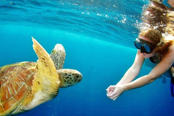 Best Snorkeling Trip at Blue Lagoon Bali - Why This Blue Lagoon–Tanjung Jepun Snorkeling Trip Fits Ubud
