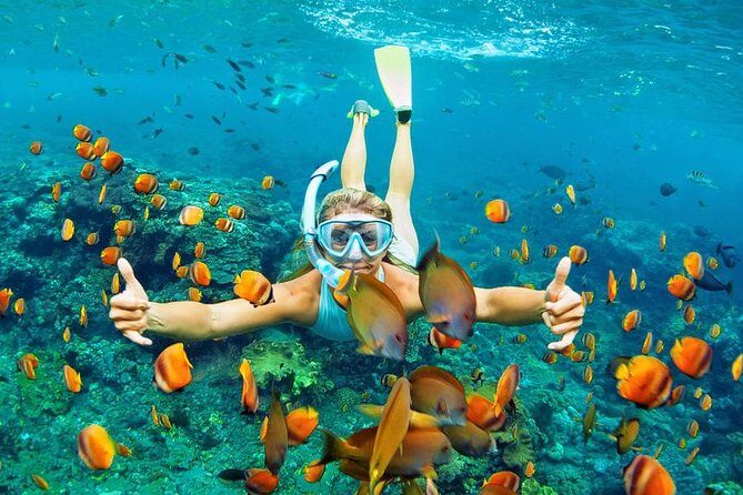 Best Snorkeling Trip at Blue Lagoon Bali - Stop 1: Blue Lagoon Beach and the Reef-Fish First Impression