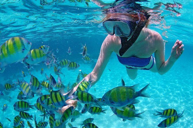 Best Snorkeling Trip at Blue Lagoon Bali - Stop 2: Tanjung Jepun Snorkeling, Big Fish Energy, and the Jellyfish Reality