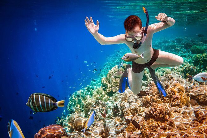 Best Snorkeling Trip at Blue Lagoon Bali - Shower, Change, and the Included Lunch After the Reef