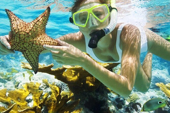 Best Snorkeling Trip at Blue Lagoon Bali - Pickup to Padang Bai: What the Start of the Day Feels Like