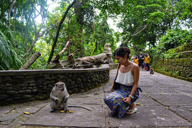 Best Ubud Highlights - Private Day Tour - Transport and Routing: What Makes the Day Feel Efficient