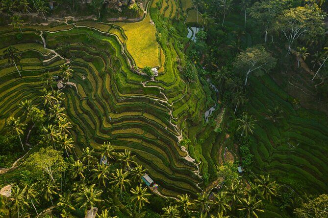 Best Ubud Highlights - Private Day Tour - Ubud Palace: The Most Efficient Hour You’ll Spend