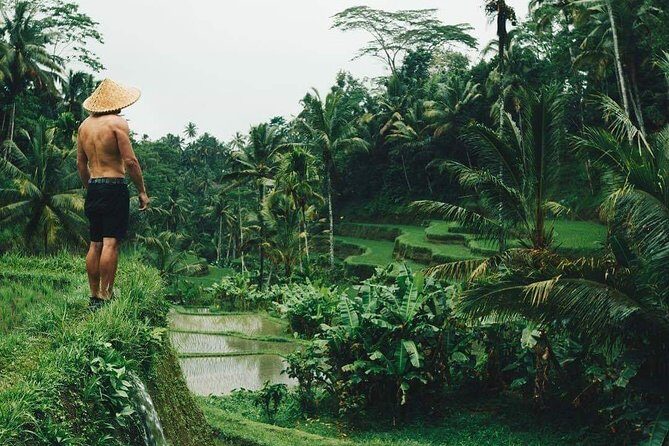 Best Ubud Tours -All inclusive with private driver - Quick hits before you go