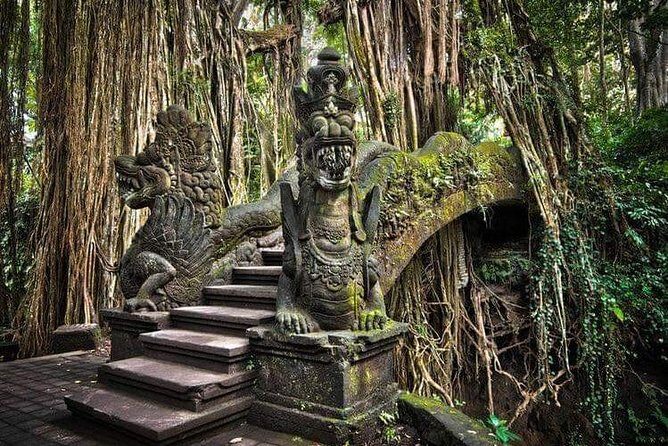 Best Ubud Tours -All inclusive with private driver - A 10-hour Ubud private tour built for photos and planning