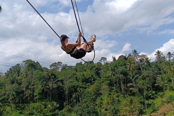 Best Ubud Tours -All inclusive with private driver - Tegallalang Rice Terrace and D’alas lunch: the classic Ubud photo wall