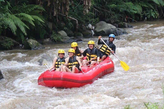 Best White Water Rafting in Bali - Ayung River rafting from Ubud: why this route is a smart choice