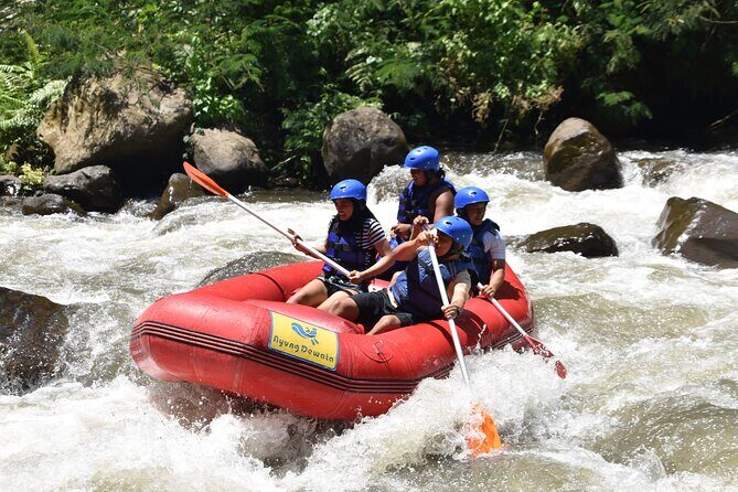 Best White Water Rafting & Lunch, Ubud - Who this Ayung River rafting trip fits best