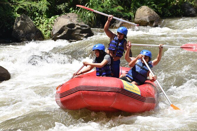 Best White Water Rafting & Lunch, Ubud - On the Ayung River: 11 km and 28 class II & III rapids