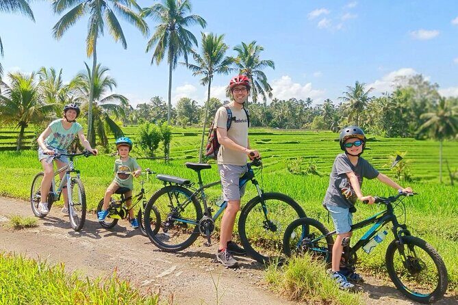 Bike ride in the rice fields, Bali countryside - Key highlights before you pedal