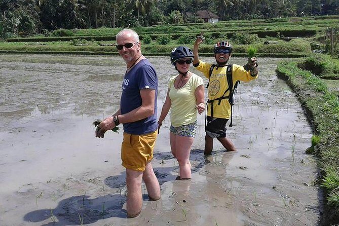 Bike ride in the rice fields, Bali countryside - Lunch overlooking rice and river: why the meal is the payoff