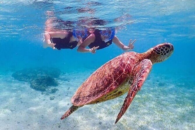 Bloo Lagoon Snorkeling East Bali Includes Transportation & Lunch - East Bali snorkeling at Blue Lagoon: what you’re really paying for