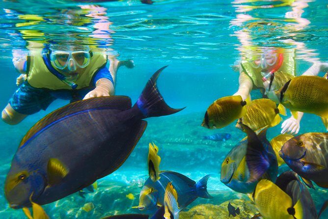 Bloo Lagoon Snorkeling East Bali Includes Transportation & Lunch - Kusamba black-sand beach: why the stop is worth it even if it’s short