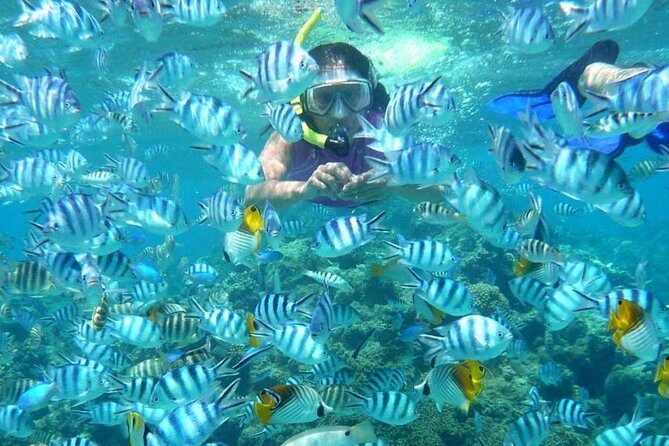 Bloo Lagoon Snorkeling East Bali Includes Transportation & Lunch - Lunch after snorkeling: when food is actually included, not an afterthought
