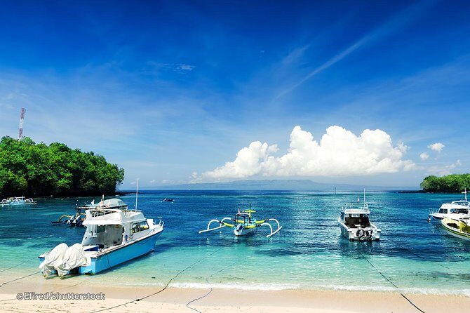 Bloo Lagoon Snorkeling East Bali Includes Transportation & Lunch - What’s included (and what you’ll need to bring)