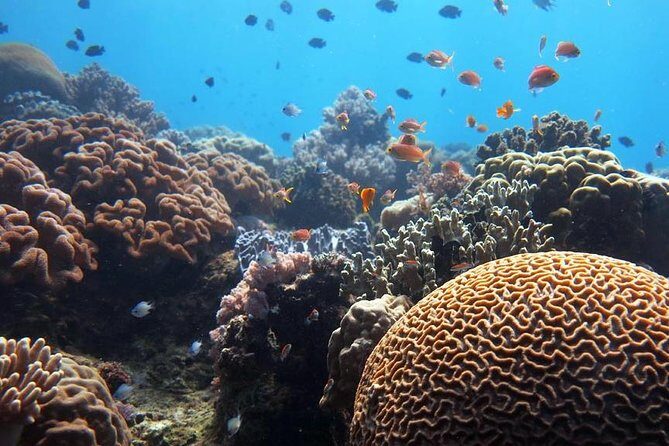 Bloo Lagoon Snorkeling East Bali Includes Transportation & Lunch - Group size and tour pace: how the day feels in real time