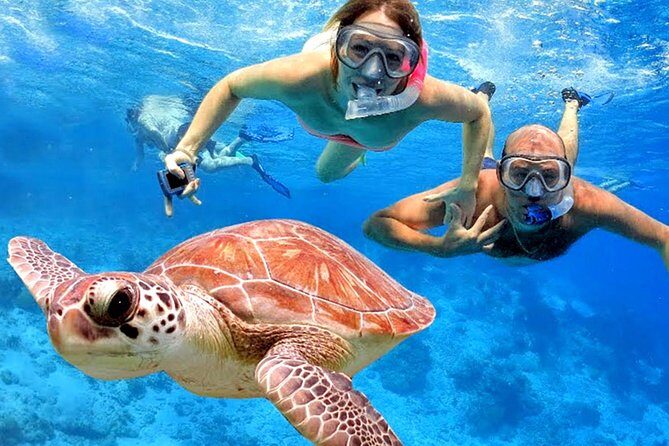 Blow Lagoon Bali Snorkeling and see Bali Bats Cave Temple - Blue Lagoon: Easy-Access Snorkeling Near Padang Bai
