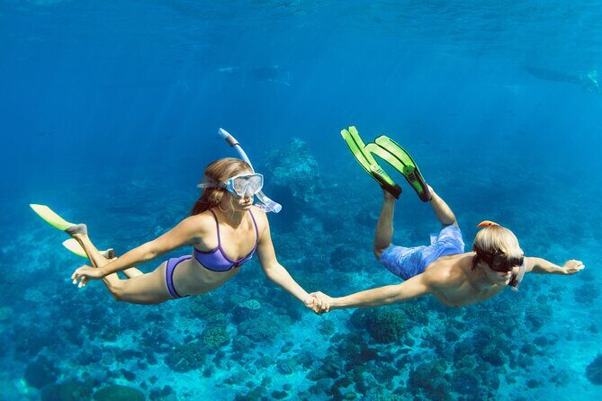 Blue Lagoon Bali Snorkeling Experience - Transport, timing, and what makes this day manageable