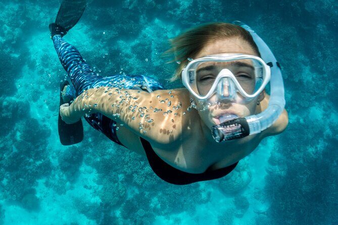Blue Lagoon Bali Snorkeling Experience - Marine life expectations: fish, turtles, and the days that aren’t perfect