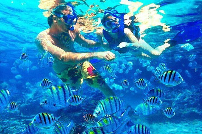 Blue Lagoon Snorkeling and Lunch - Ubud Monkey Forest - Waterfall - Shower, lunch, and refuel at Topi Inn in Padangbai