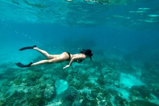 Blue Lagoon Snorkeling and Lunch - Ubud Monkey Forest - Waterfall - Kanto Lampo Waterfall: what you’re really signing up for