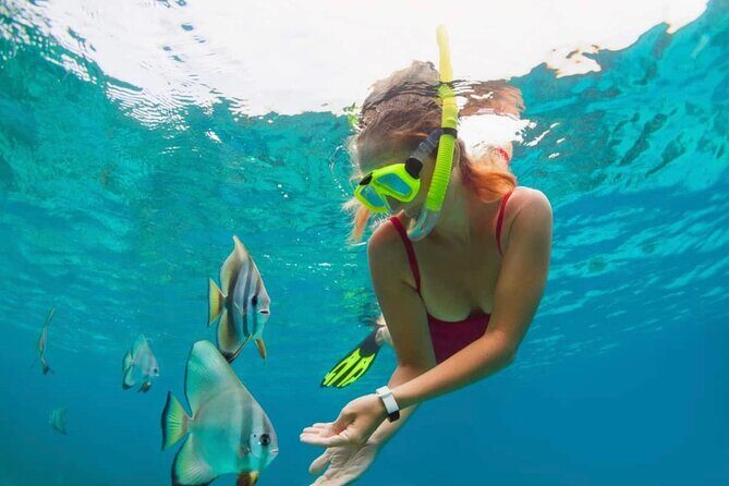 Blue Lagoon Snorkeling and Lunch with Private Transfer - Shower, Recharge, and Lunch at Topi Inn Restaurant