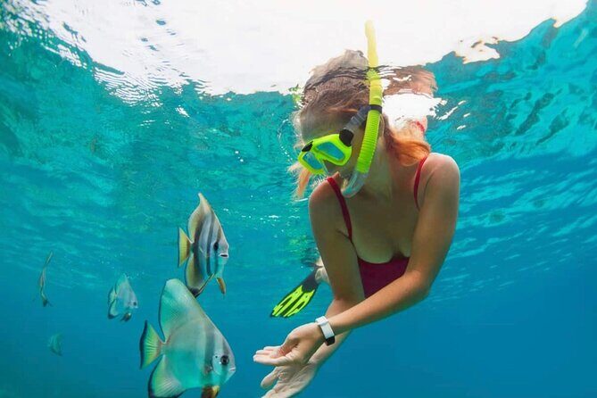 Blue Lagoon Snorkeling and Lunch with Tukad Cepung Waterfall - Key highlights if you want this day in your calendar
