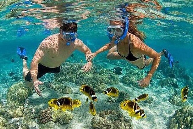 Blue Lagoon Snorkeling and Lunch with Visit Tegenungn Waterfall in Ubud - Shower, lunch, and the break you need before the waterfall
