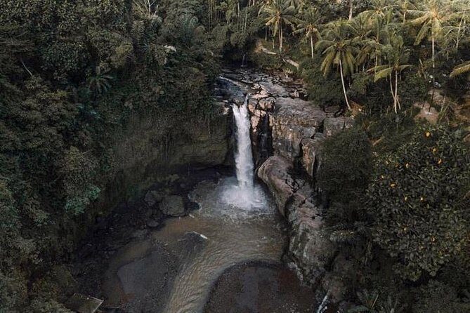 Blue Lagoon Snorkeling and Lunch with Visit Tegenungn Waterfall in Ubud - Blue Lagoon and Tanjung Jepun: Your two-hour snorkeling plan