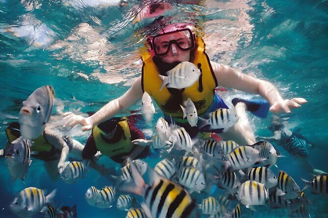 Blue Lagoon Snorkeling - Bali Best Snorkeling Site - Lunch after snorkeling in Padangbai: a practical finish