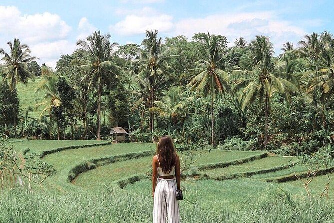 Blue Lagoon Snorkeling - Jungle Swing - Ubud - All Inclusive - The route stops that change by where you’re staying in Bali