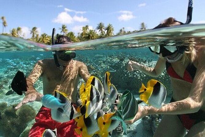 Blue Lagoon Snorkeling - Lunch - Kantolampo - Tibumana Waterfall - Price and Value: What You’re Really Paying For