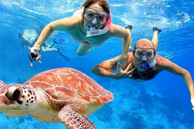 Blue Lagoon Snorkeling with Lunch and Private Transport - Why Blue Lagoon Feels Like Your Own Beach Day