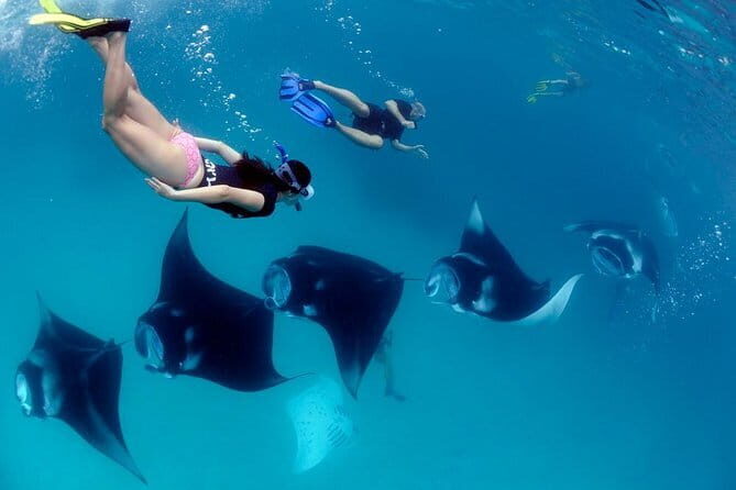 Blue Lagoon Snorkeling with Lunch and Private Transport - Traditional Boat + Private Transport: How the Day Flows