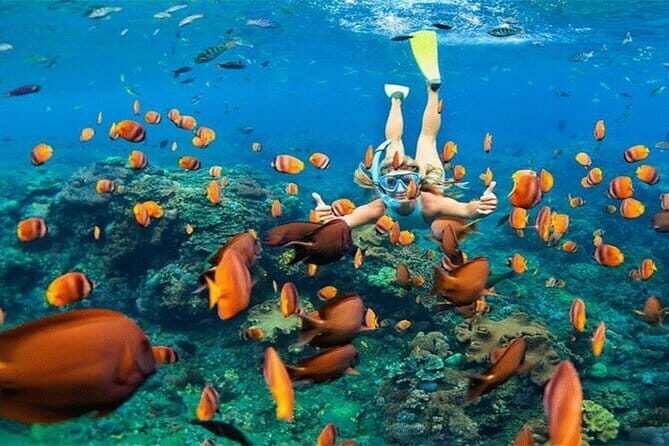 Blue Lagoon Snorkeling with Lunch and Private Transport - The Value Question: Is $60 Worth It?