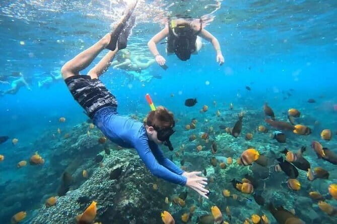 Blue Lagoon Snorkeling with Lunch and Waterfall in Ubud - Key Things That Make This Tour Worth Your Time