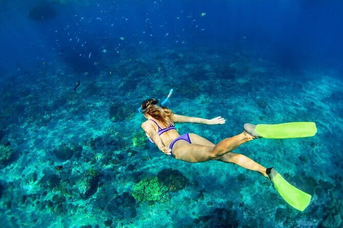 Blue Lagoon Snorkeling with Lunch and Waterfall in Ubud - Segara Windhu Coffee Plantation: Coffee Culture With a Tasting Payoff