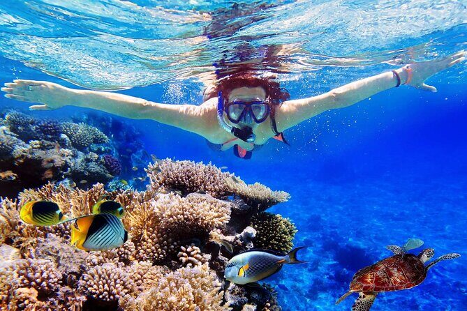 Blue Lagoon & Tanjung Jepun Snorkeling Private Tour - Key Things You’ll Like About This Snorkeling Tour