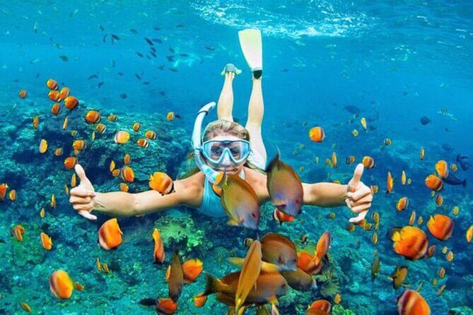 Blue Lagoon & Tanjung Jepun Snorkeling Private Tour - How the Day Flows: Ubud Pickup to Padang Bai Snorkeling