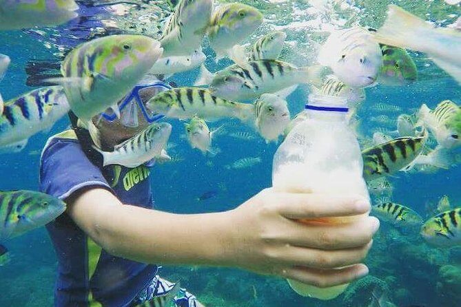 Blue Lagoon & Tanjung Jepun Snorkeling Private Tour - Lunch and Timing: Getting Fed Without Losing the Vibe