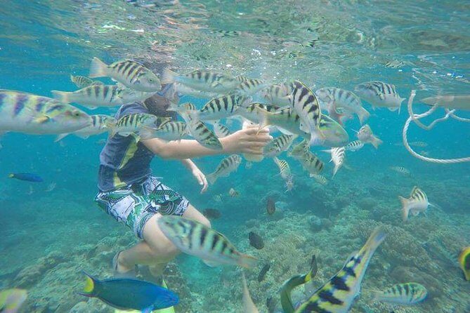 Blue Lagoon & Tanjung Jepun Snorkeling Private Tour - Small Things to Bring So You Don’t Regret It