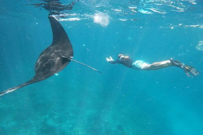 Buggy Bali UTV Adventure in Ubud with optional Hotel Transfer - Snorkeling around Nusa Lembongan: Manta Bay photos and real marine spotting