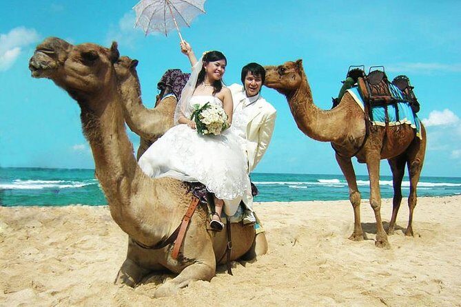 Camel Safari 30 minutes In White Sand Beach - Key things I’d pin to the top