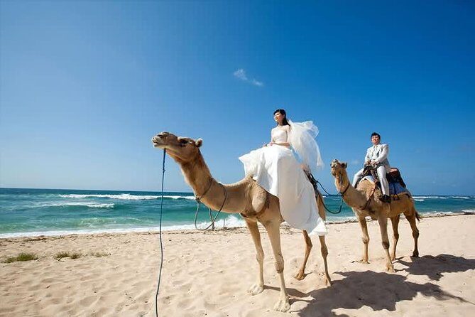 Camel Safari 30 minutes In White Sand Beach - Weight rules and how they affect who rides two-up