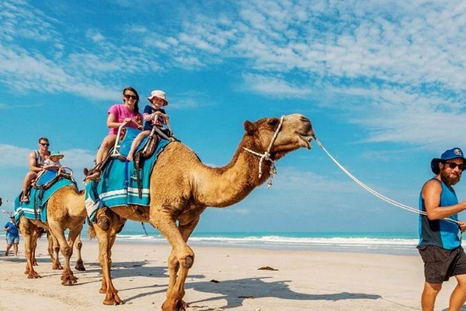 Camel Safari 30 minutes In White Sand Beach - Price and value: what $85 gets you in real terms