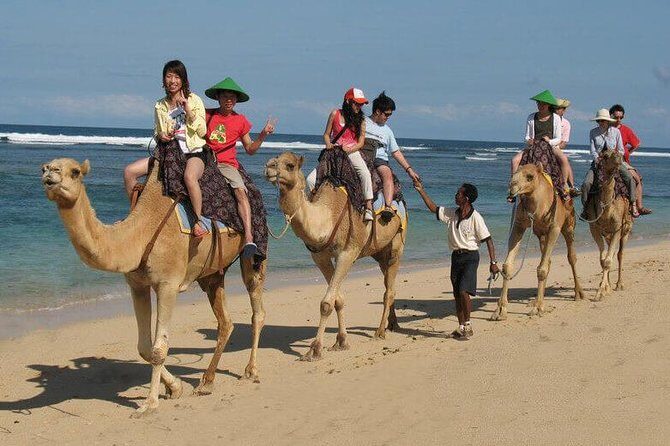 Camel Safari 30 minutes In White Sand Beach - Door-to-door pickup from south Bali hotels