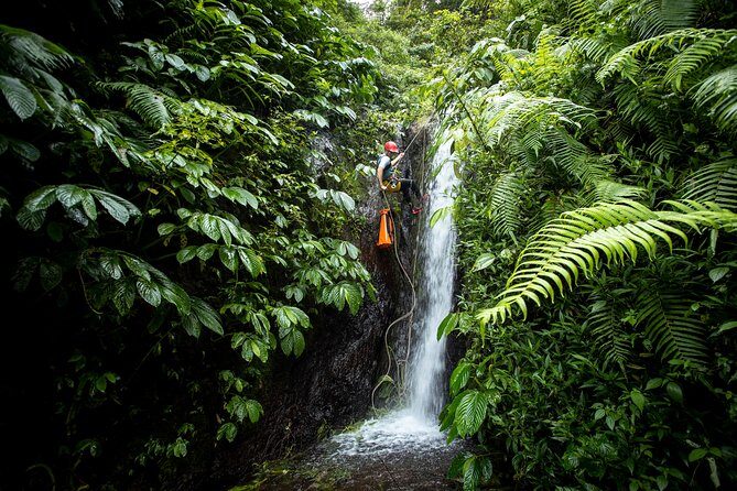 Canyoning Bali, Tamata Canyon (Adventure, discovery, nature) - Morning logistics in Ubud: pickup, basecamp setup, and the 6:00am start