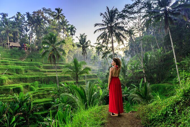 Cave Tubing Adventure & Rice terrace - Transport and Timing: Making a 4-Hour Tour Actually Feel Like One